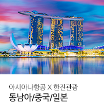 아시아나 단거리 기획전
