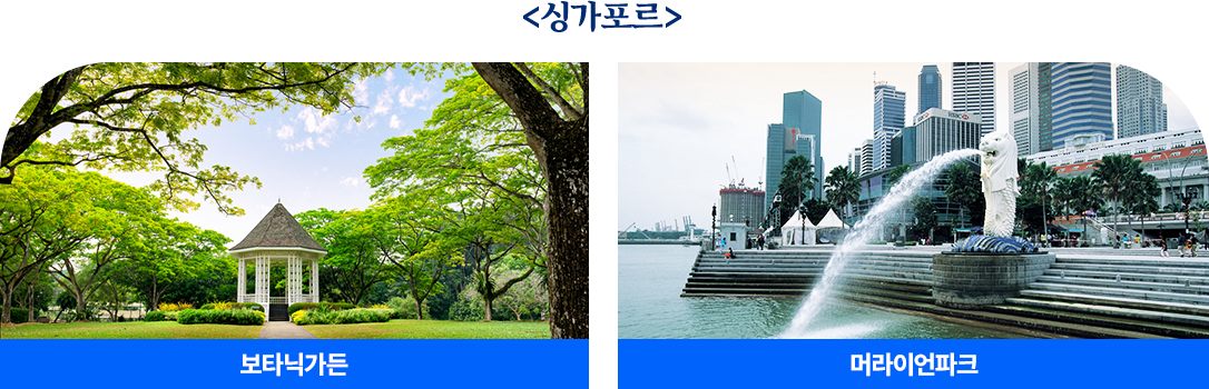 싱가포르
