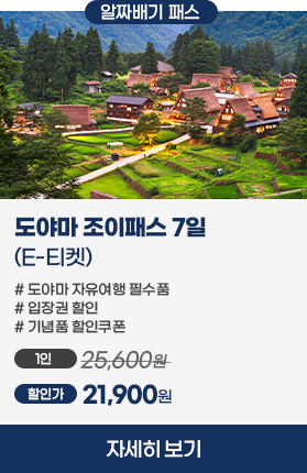 알펜루트 일일투어